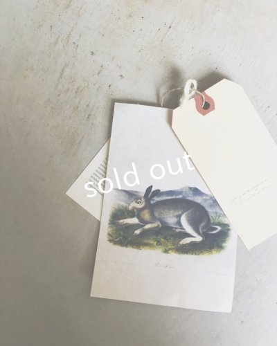 画像13: HALLELUJAH/Robe de Berger 羊飼いローブ・Green