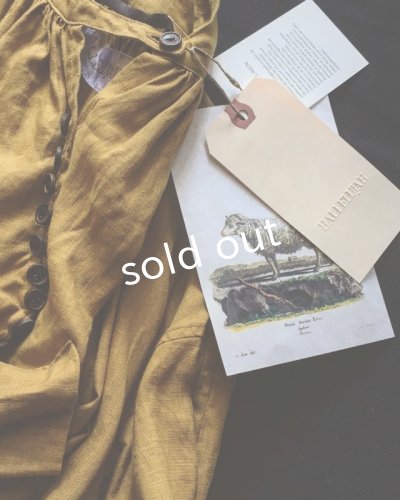 画像5: HALLELUJAH／1890's Bourgeron　1890年代　羊飼いシャツワンピース・Mimosa