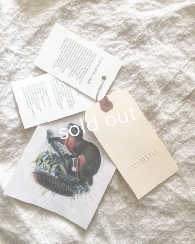 画像7: HALLELUJAH／1900年代　Robe「ローブ」indigo