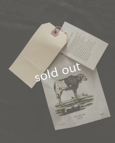 画像11: HALLELUJAH/1920年代 Veste「ロングジャケット」belgian sand baige