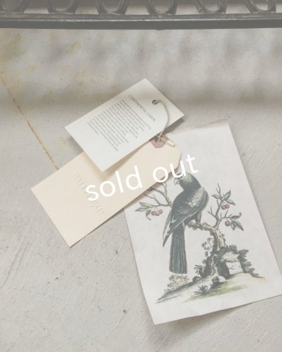 画像13: HALLELUJAH／Chemisier Victorien ヴィクトリア時代シャツ・off white