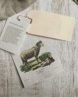 画像7: HALLELUJAH／1890's Bourgeron　1890年代　羊飼いシャツワンピース・flax