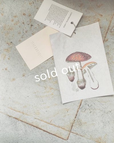 画像12: HALLELUJAH／Robe de femme de chambre 小間使いローブ（衿付）・mimosa