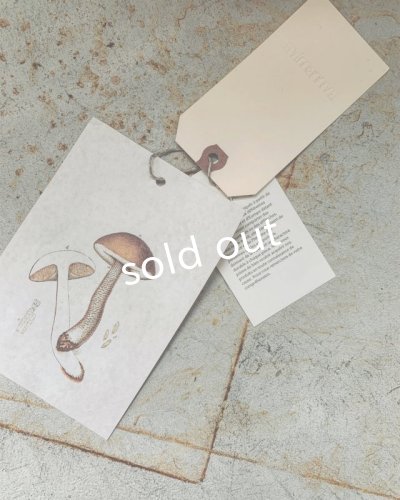 画像12: HALLELUJAH／Chemisier à plis d'époque プリーツシャツ・off white