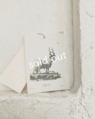 画像13: HALLELUJAH／1890's Bourgeron　1890年代　羊飼いシャツワンピース・off-white