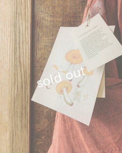 画像7: HALLELUJAH／Robe de femme de chambre 小間使いローブ衿付・madder-red