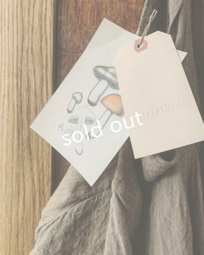 画像5: HALLELUJAH／Robe de femme de chambre 小間使いローブ衿付・[新色]brown