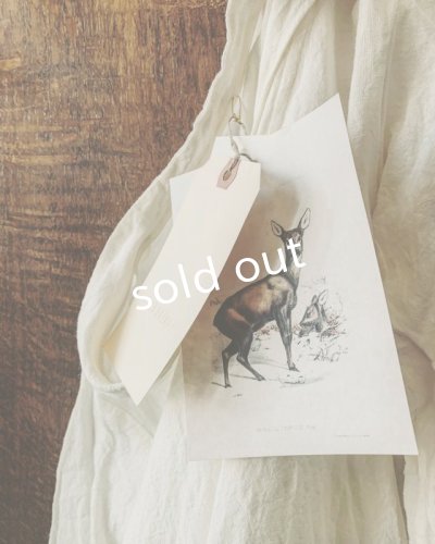 画像11: HALLELUJAH／Robe de femme de chambre 小間使いローブ衿付・off-white