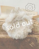 sukekiyo／スケーる・ちゅう