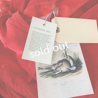 画像14: HALLELUJAH/Robe de fame de chambre 小間使いローブ・red