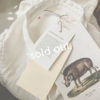 画像16: HALLELUJAH/Robe en dentelle 1940 レースローブ1940年代・off-white