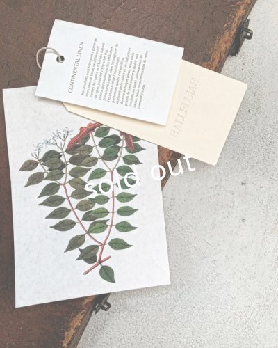 画像9: HALLELUJAH/Victorian Chemise ヴィクトリア時代のシャツ・Flax