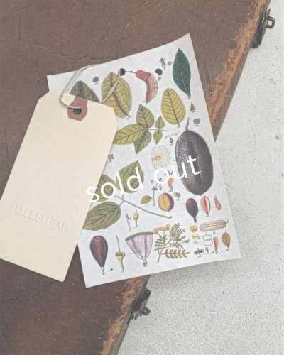 画像7: HALLELUJAH/Jupe etagee ティアードスカート・Off White