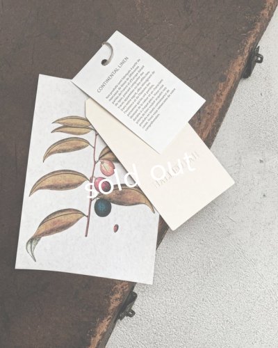 画像20: HALLELUJAH/Chemiscs de nuit 19c siecle 1800年代ナイトローブ・Black