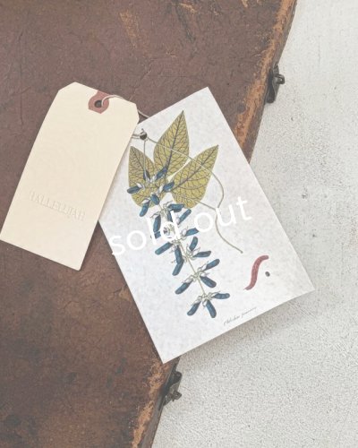 画像7: HALLELUJAH/Jupe etagee ティアードスカート・Black