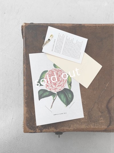 画像20: HALLELUJAH／Priest's Tablier 司祭のタブリエ・Charcoal black 