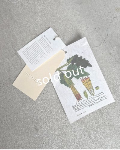 画像22: HALLELUJAH／12.Victorian Pantalon ヴィクトリアンパンタロン・flax stripe