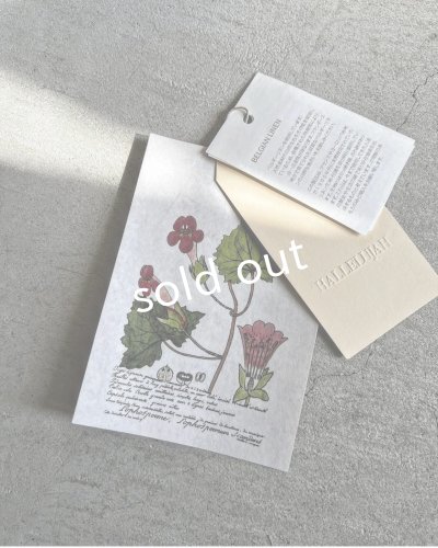 画像18: HALLELUJAH／2.Acolyte Robe 侍者のローブ・柿渋