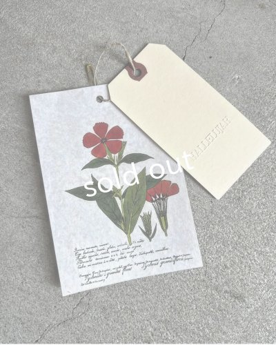 画像23: HALLELUJAH／2.Chimise a Dentelle レースブラウス・black