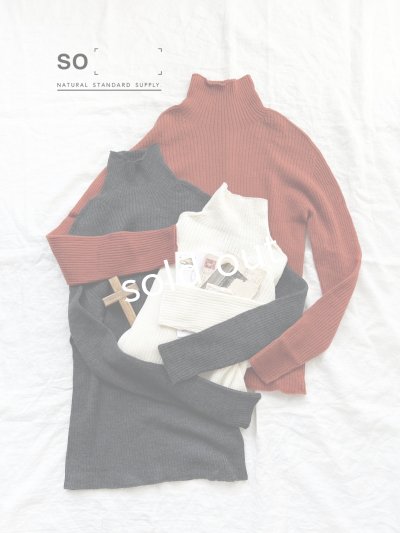 画像1: 【SALE】SO／ウールタートルテレコカットソー