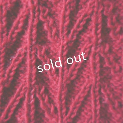 画像6: Sana Hastakala／Nepal knit arm warmer・レッド