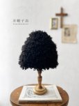 画像1: 羊帽子店／12-8 くるくる羊カーリーどんぐり帽子・ブラック (1)