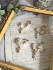 画像4: 【プレビュー中】toromeco／KOMOREBI earring・pierce (4)