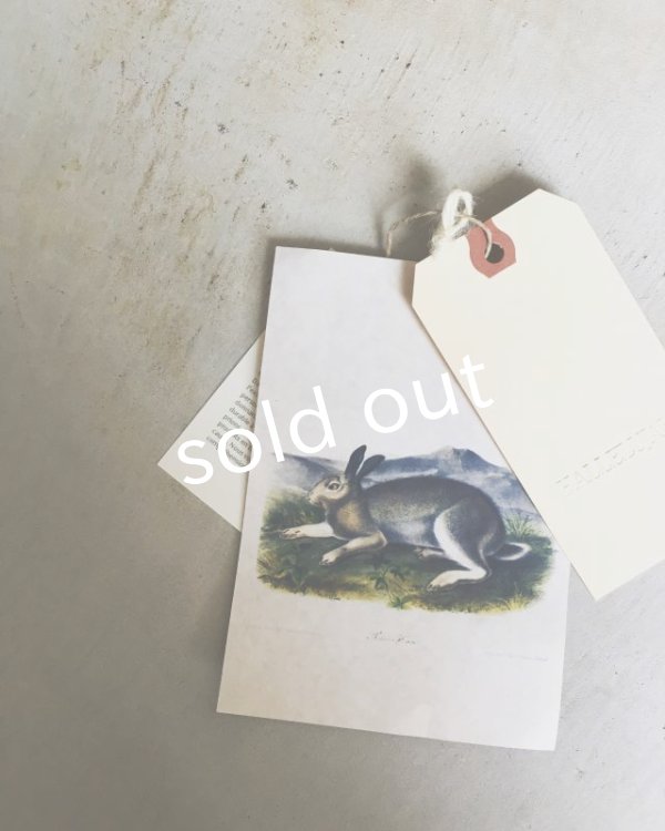 画像13: HALLELUJAH／Robe de Berger 羊飼いローブ・Green (13)