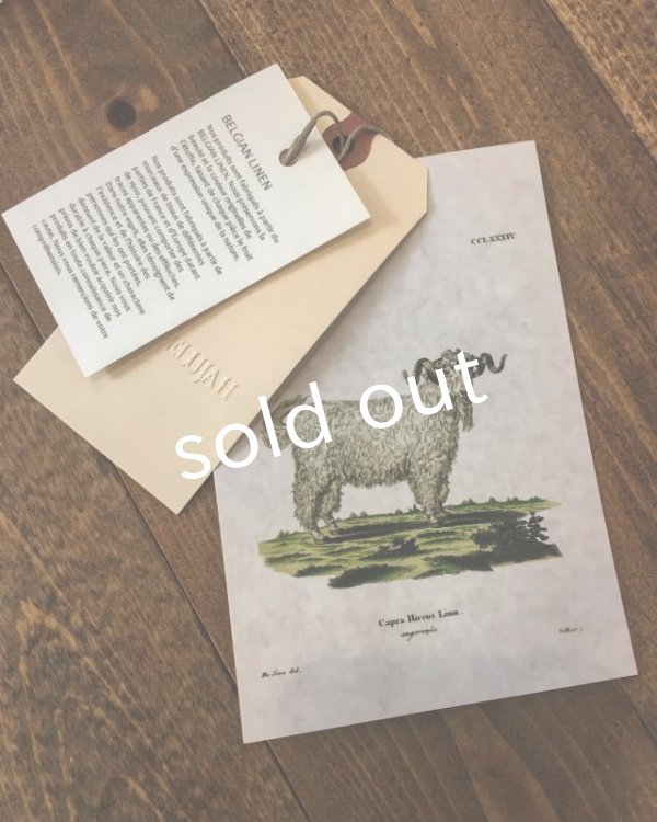 画像10: HALLELUJAH／Robe de femme de chambre no.4 小間使いローブ　Black (10)