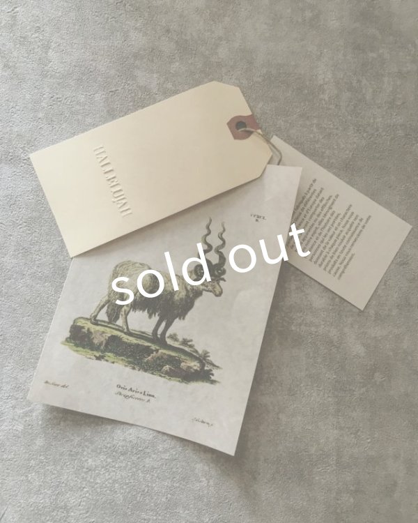 画像8: HALLELUJAH／1890's Bourgeron　1890年代　羊飼いシャツワンピース・Gray (8)