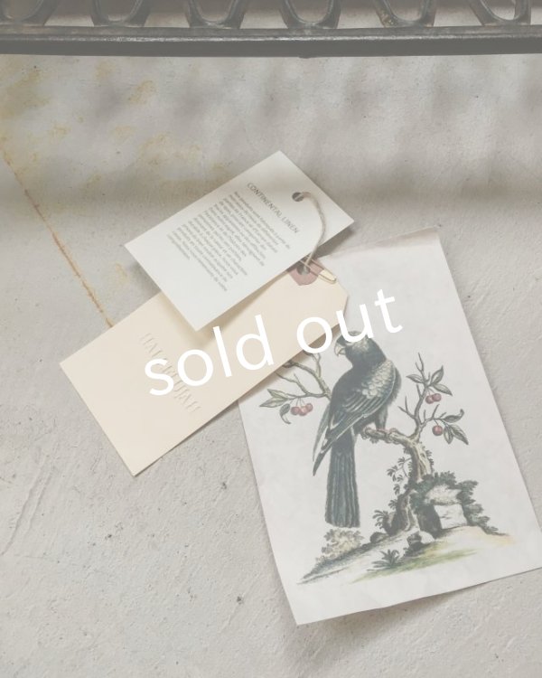 画像13: HALLELUJAH／Chemisier Victorien ヴィクトリア時代シャツ・off white (13)