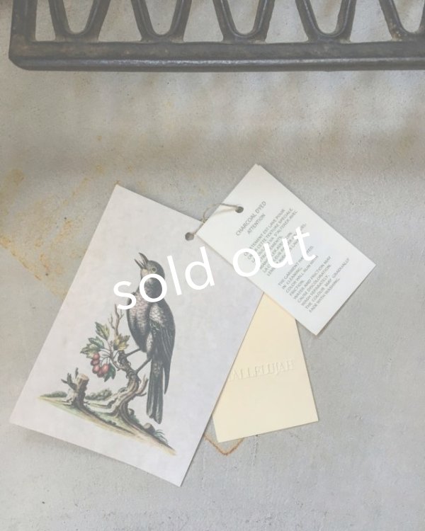 画像14: HALLELUJAH／La Bergère (1880′s)羊飼いローブ・ブロックチェック (14)