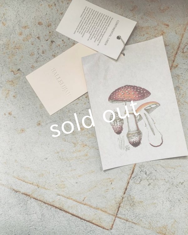 画像12: HALLELUJAH／Robe de femme de chambre 小間使いローブ（衿付）・mimosa (12)