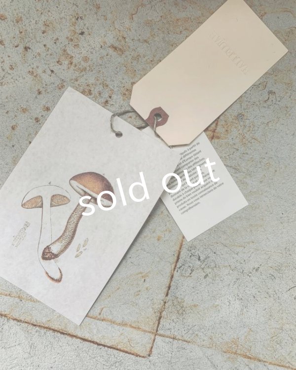 画像12: HALLELUJAH／Chemisier à plis d'époque プリーツシャツ・off white (12)