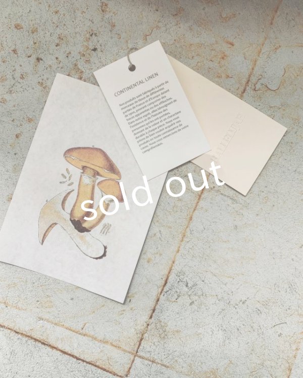 画像5: HALLELUJAH／Chemisier à plis d'époque プリーツシャツ・navy (5)