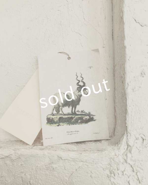 画像13: HALLELUJAH／1890's Bourgeron　1890年代　羊飼いシャツワンピース・off-white (13)