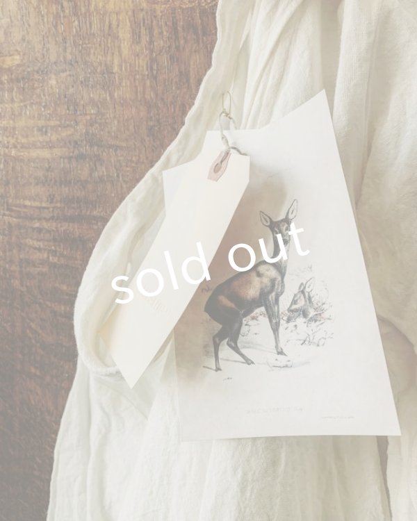 画像11: HALLELUJAH／Robe de femme de chambre 小間使いローブ衿付・off-white (11)