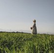 画像2: mifumi／まる襟リリィのワンピース・プチブーケ黒 (2)