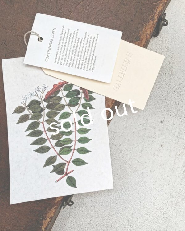 画像9: HALLELUJAH/Victorian Chemise ヴィクトリア時代のシャツ・Flax (9)