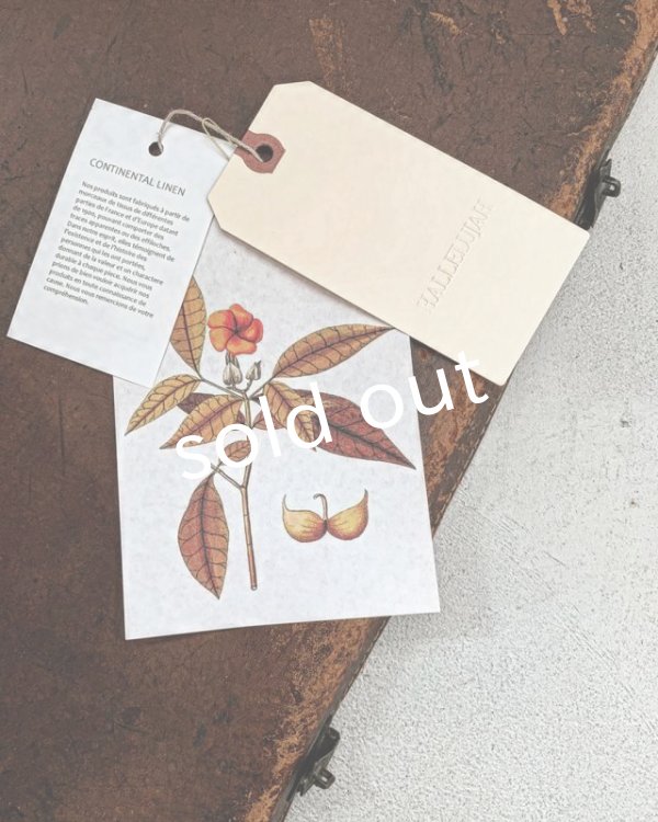 画像11: HALLELUJAH／Chemiscs de nuit 19c siecle 1800年代ナイトローブ・Off White (11)