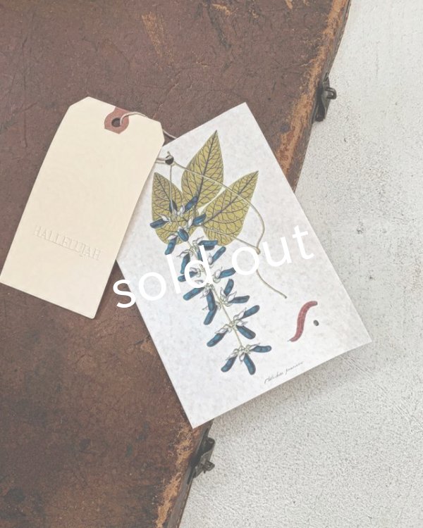 画像7: HALLELUJAH／Jupe etagee ティアードスカート・Black (7)