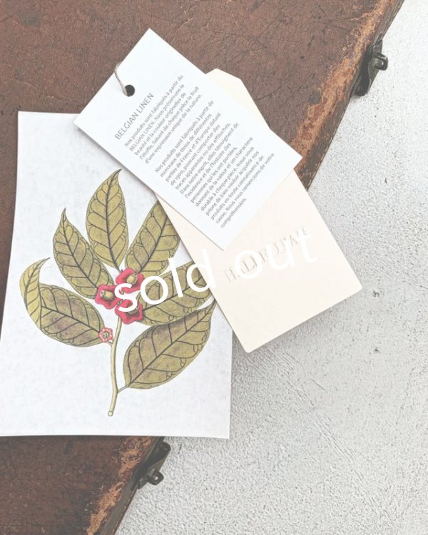 画像14: HALLELUJAH／Robe  a col claudine(1900)クロディーヌの襟のドレス・Black (14)