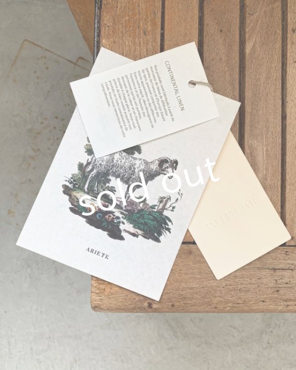 画像8: HALLELUJAH／Robe de femme de chambre 小間使いローブ衿付・off white (8)