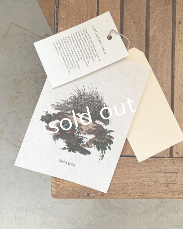 画像11: HALLELUJAH／Robe de femme de chambre 小間使いローブ衿付・pink (11)