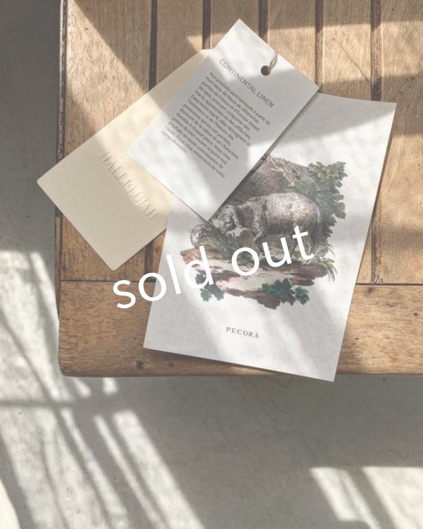 画像8: HALLELUJAH/Acolyte Robe 侍者のローブ・beige (8)