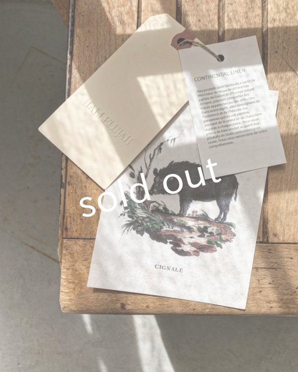 画像9: HALLELUJAH／Acolyte Robe 侍者のローブ・pink (9)