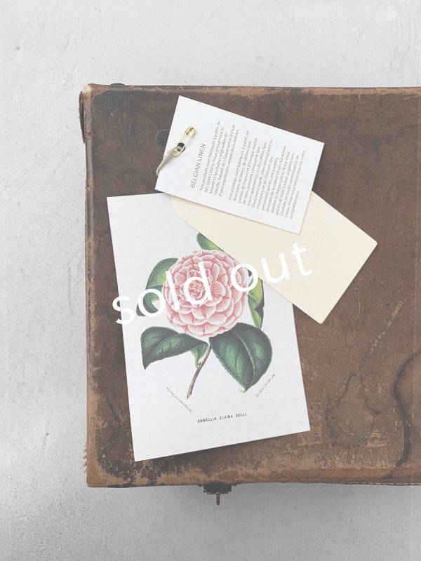 画像20: HALLELUJAH/Priest's Tablier 司祭のタブリエ・Charcoal black  (20)