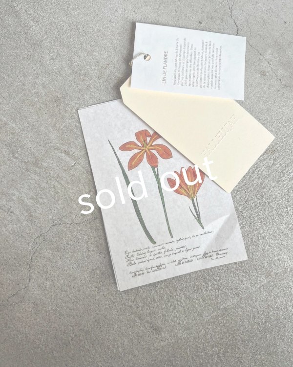 画像23: HALLELUJAH／11, Edwardian Chemise エドワーディアン ブラウス・Off-white  (23)