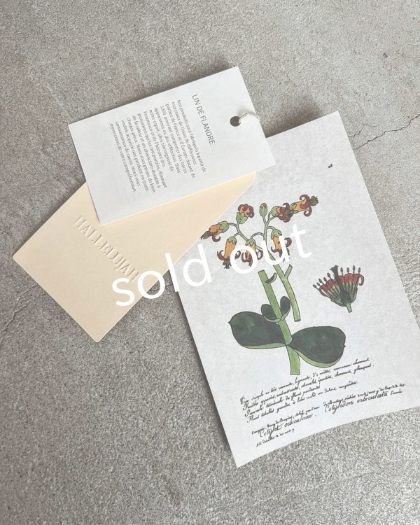 画像19: HALLELUJAH/4.Pantalon faun パン パンタロン・Black  (19)