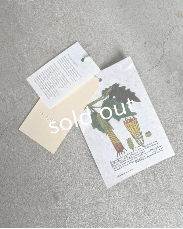 画像22: HALLELUJAH／12.Victorian Pantalon ヴィクトリアンパンタロン・flax stripe (22)